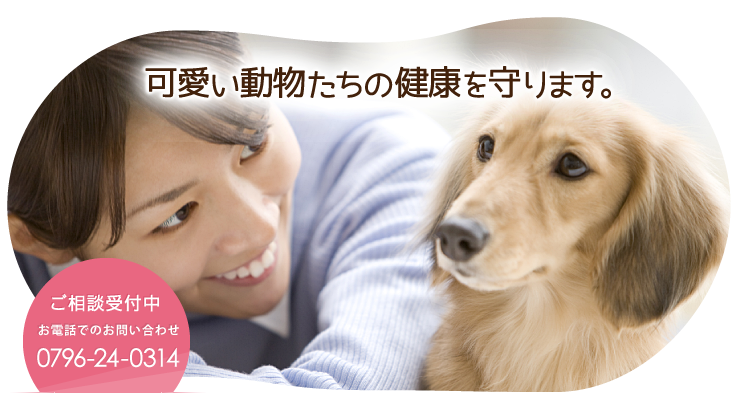 可愛い動物たちの健康を守ります。