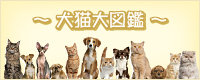 犬猫大図鑑