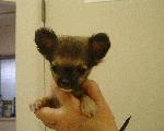 1083843915.jpg