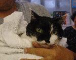 1093605567.jpg