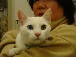 1137835470.jpg