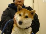 1139304875.jpg