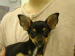 1153813371.jpg