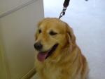 1221097422.jpg